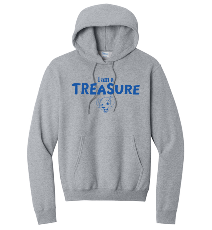 TRIADELPHIA RIDGE ATHLETIC HEATHER HOODIE