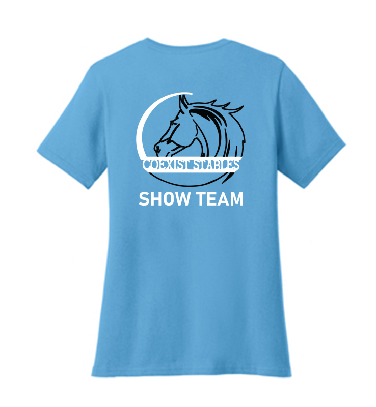 COEXIST STABLES AQUATIC BLUE LADIES V-NECK